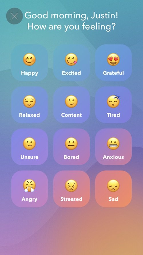 The mood checkin allows you to record how you are feeling: Happy, Excited, Grateful, Relaxed, Content, Tired, Unsure, Bored, Anxious, Angry, Stressed, or Sad.